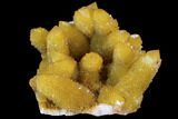 Sunshine Cactus Quartz Crystal - South Africa #96271-1